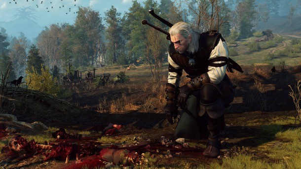 The Witcher 3: Wild Hunt Review - Choice On A Grand Scale - Game Informer