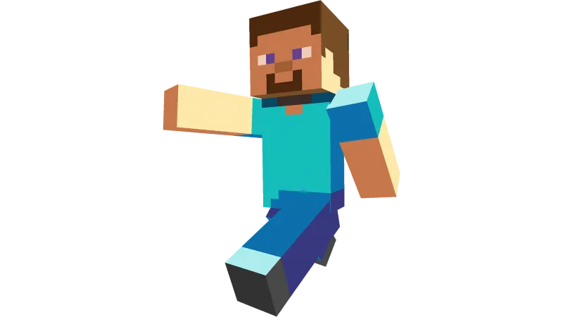 Steve Steve