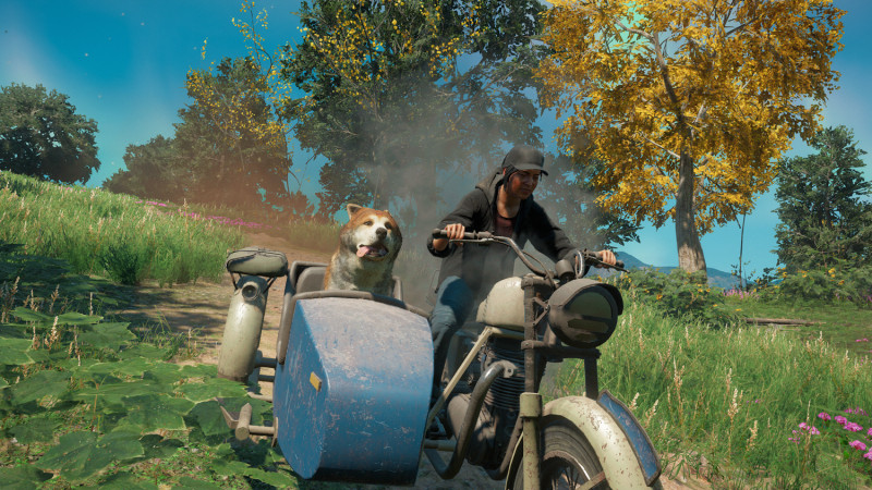 Far Cry New Dawn Timber Far Cry New Dawn Timber