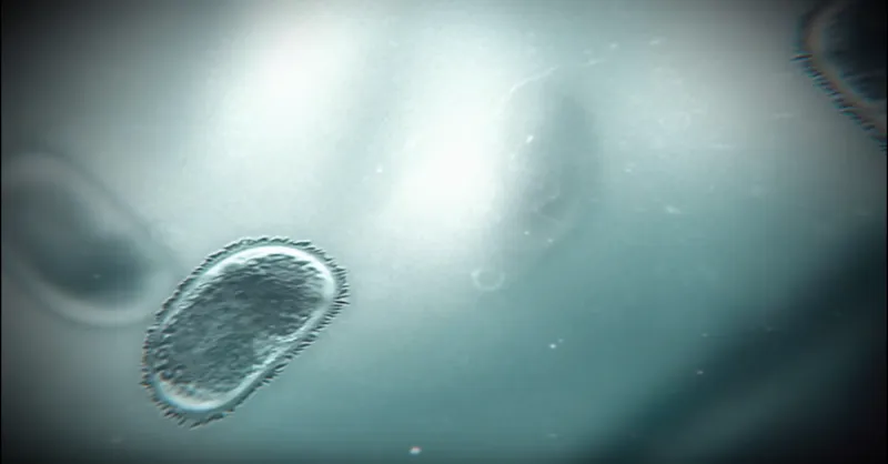 Resident Evil 3: Nemesis Remake Trailer pics