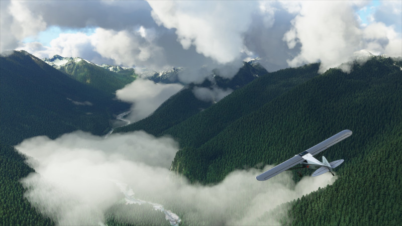 Microsoft Flight Simulator Microsoft Flight Simulator
