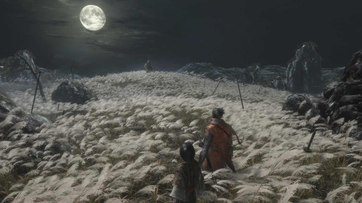 Sekiro: Shadows Die Teice