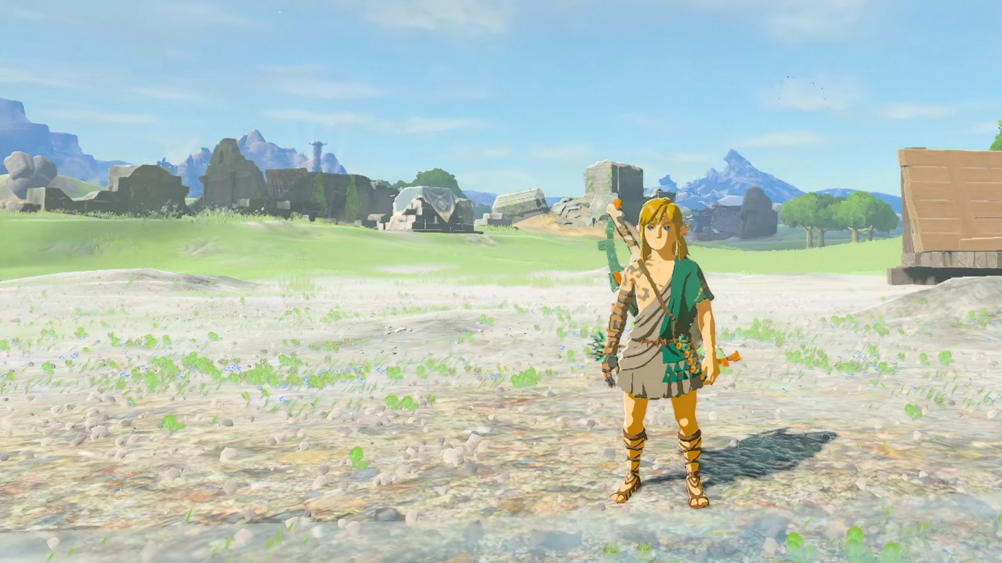 NEW Nintendo Legend of Zelda Series: Tears of the Kingdom - Link