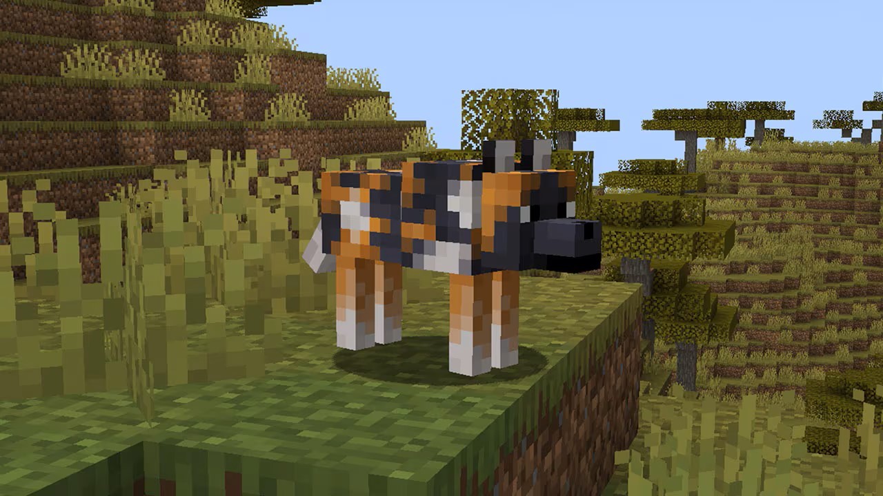 Последнее обновление Minecraft добавляет волчью броню, породы волков и броненосцев