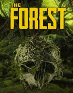 The Forestcover