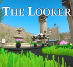 The Lookercover