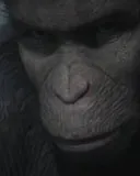 Planet Of The Apes: Last Frontiercover