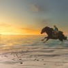 Breath Of The Wild Is The Greatest Game Ever Made, According To Japanese TV Audiences