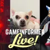 Let's Play Stray, Hang With Dogs, And Build A Gundam | Game Informer Live