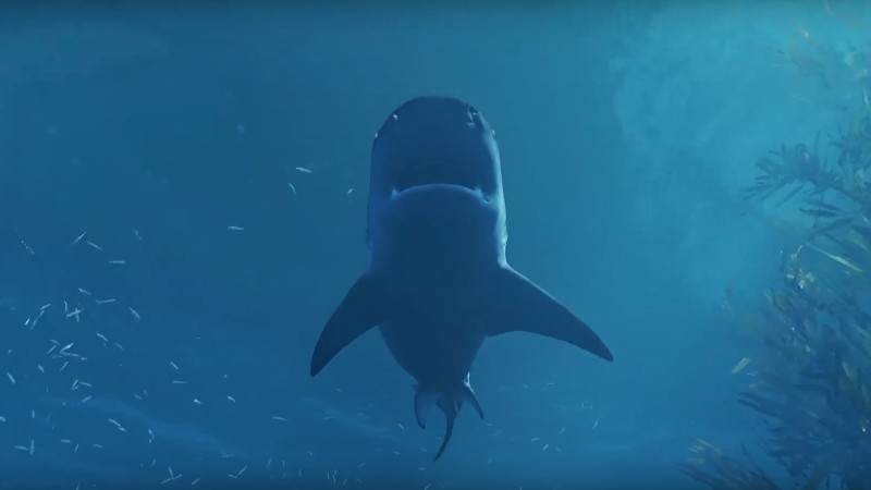 maneater shark game