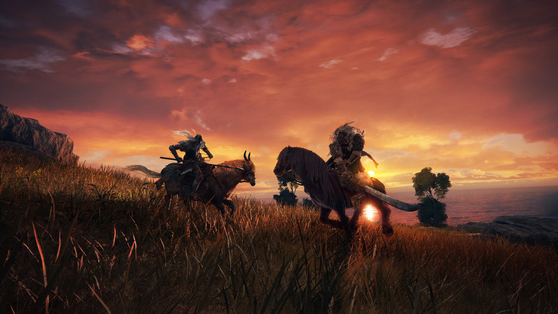You Can Kinda Pause In Elden Ring, Kinda 3 elden ring